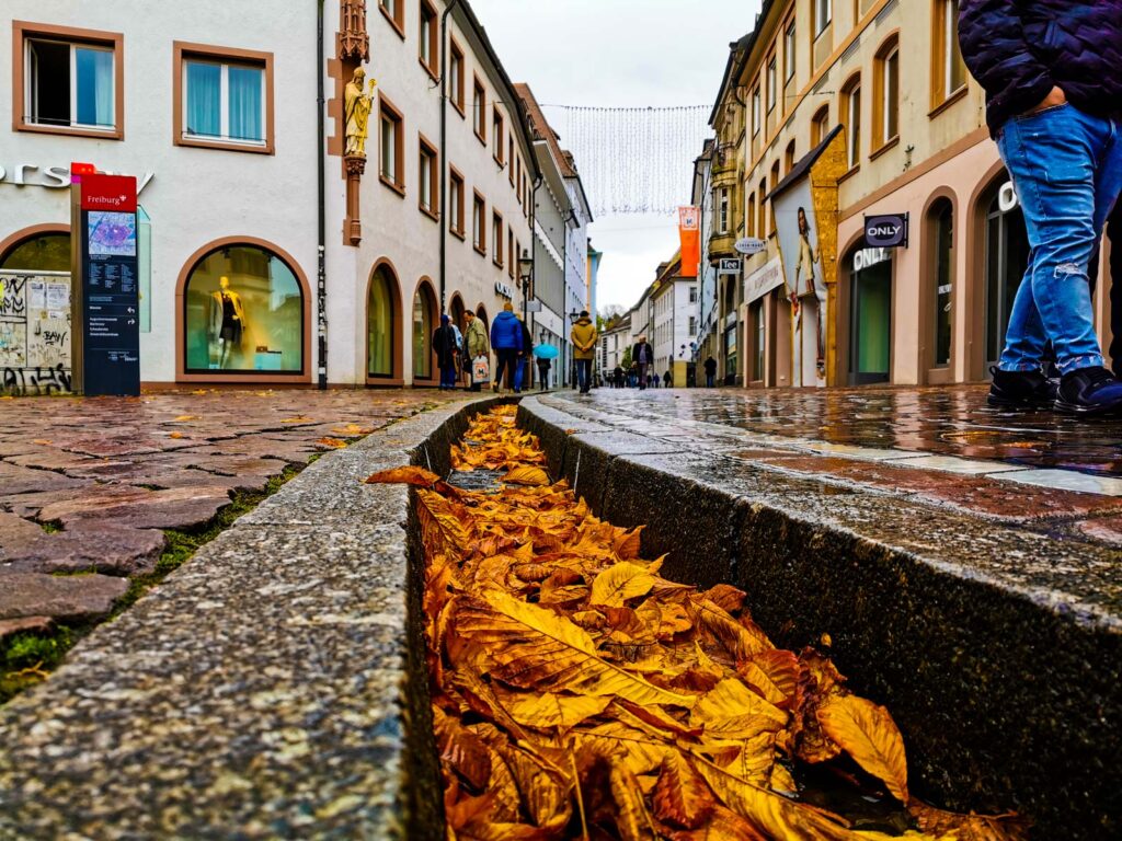 Freiburger Bächle