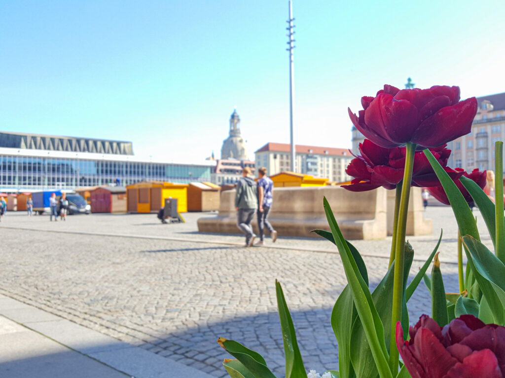 Rynek