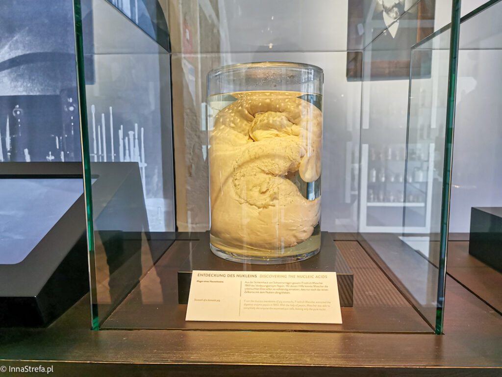 Muzeum chemiczne