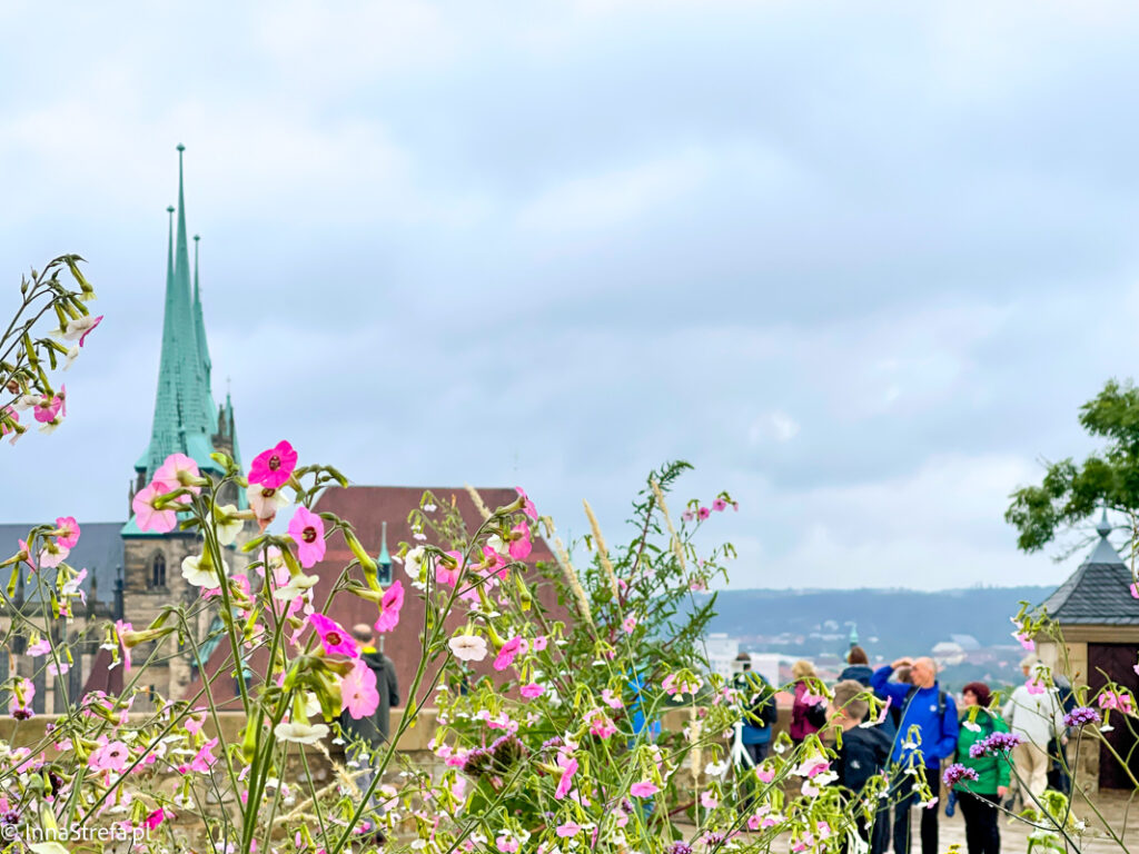 Erfurt Widok z cytadeli