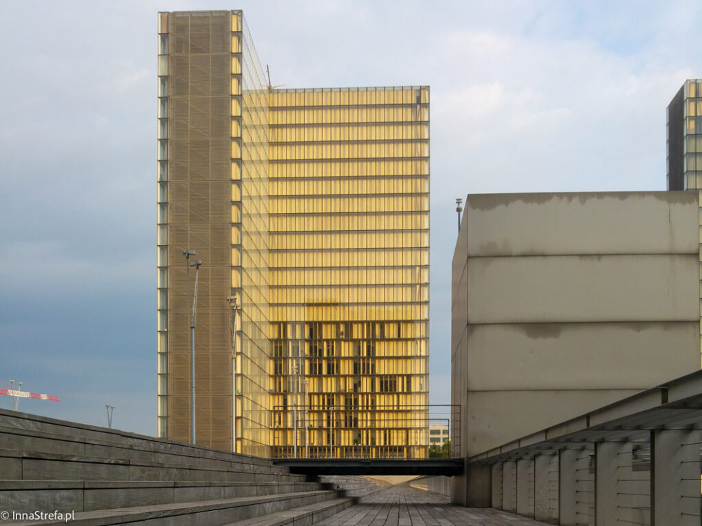 złoty